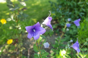 Impressionen